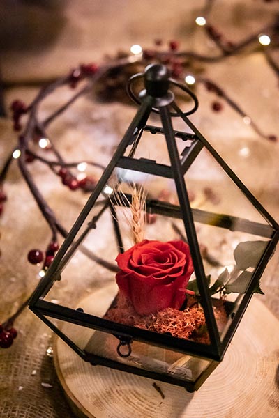 Rose éternelle rouge dans un réceptacle de verre